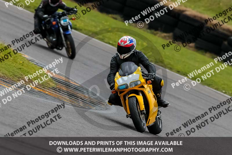 PJ Motorsport 2019;anglesey no limits trackday;anglesey photographs;anglesey trackday photographs;enduro digital images;event digital images;eventdigitalimages;no limits trackdays;peter wileman photography;racing digital images;trac mon;trackday digital images;trackday photos;ty croes